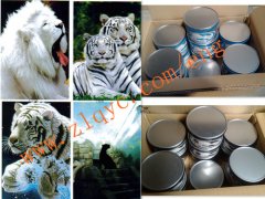 CMYK Sublimation Offset Transfer Ink(Zhongliqi